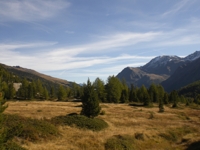 Herbst