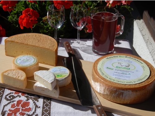 Käse