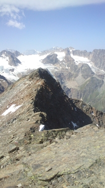 Orgelspitze