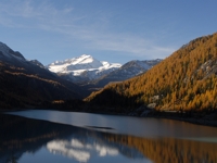 Zufrittsee